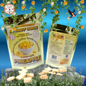 Freeze-Dried Pineapple