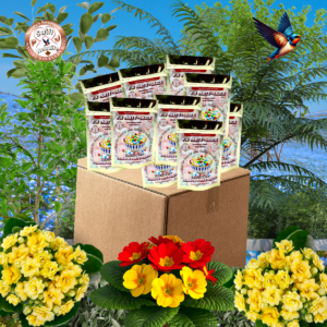 Puffy Fruit Rainbow – Box of 10